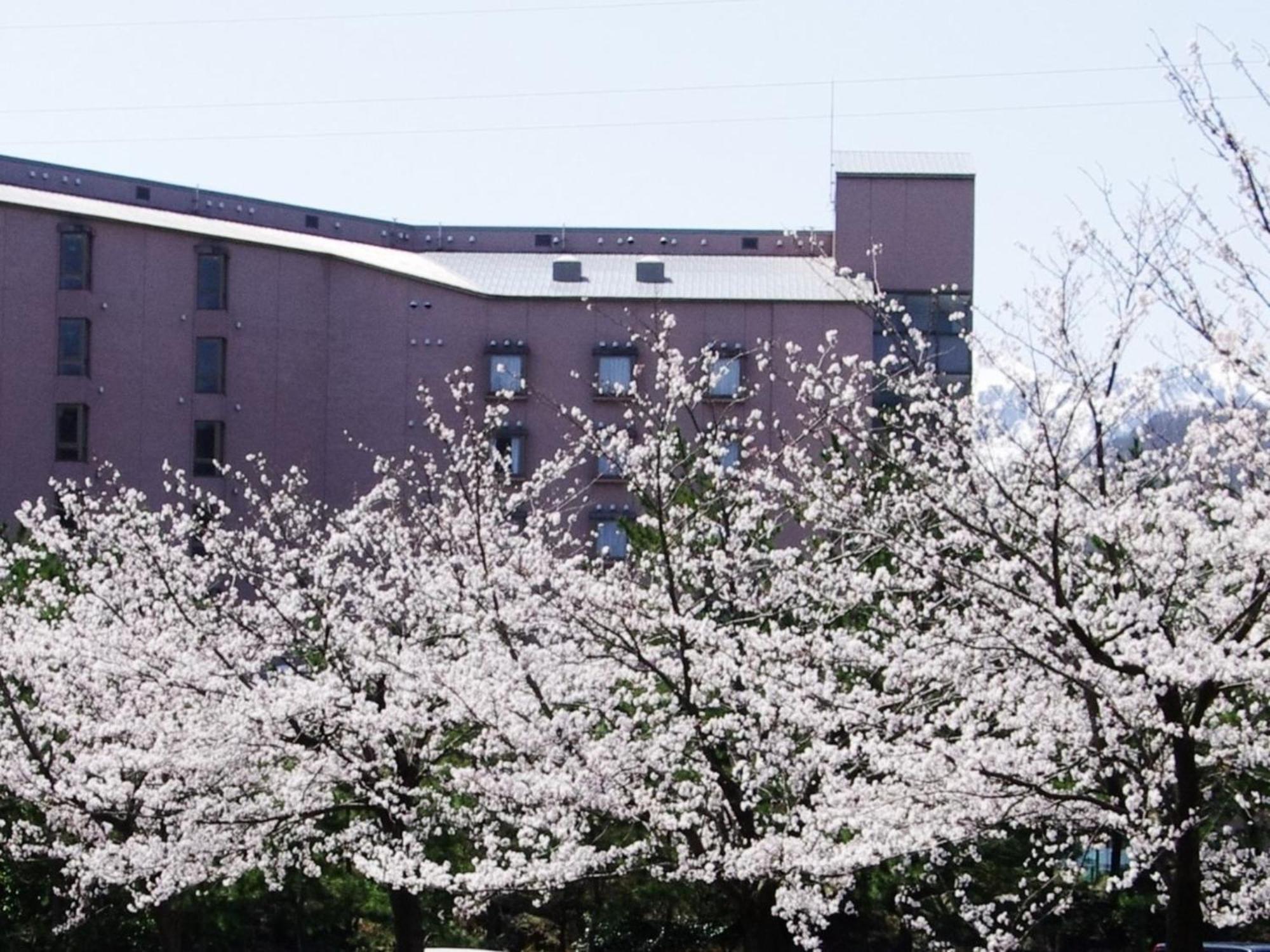 Hotel Kunitomi Annex - Vacation Stay 12072V Itoigawa Exterior foto